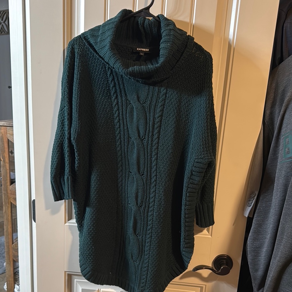 Express Turtleneck Knit Sweater